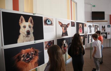 POGLEJ ME V OČI RAZSTAVA V OŠ RAKEK 02 FOTO LJUBO VUKELIČ